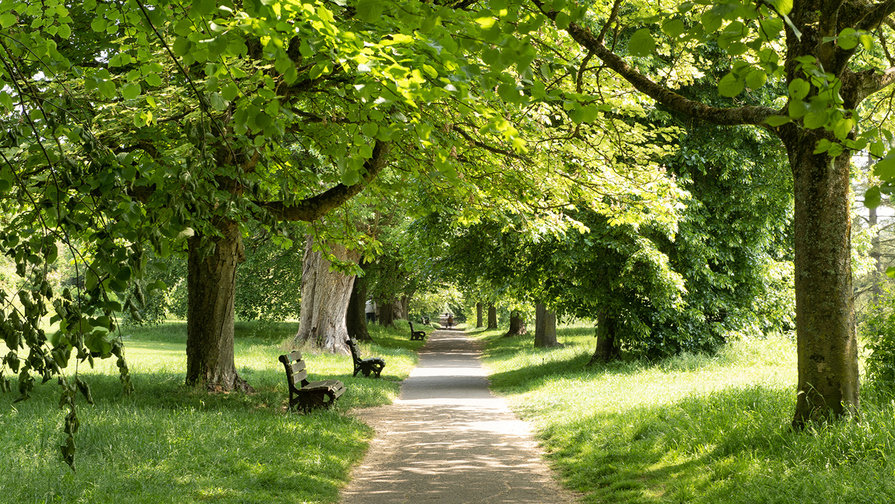 Meryton Walk