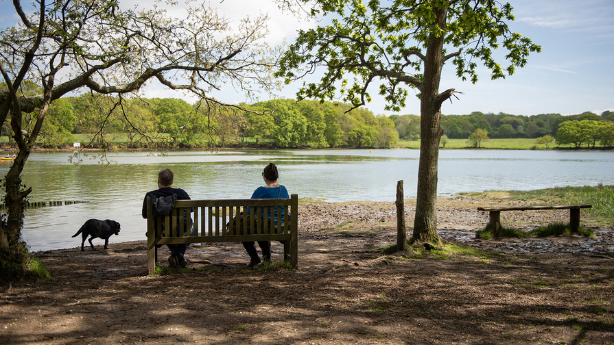 Sherecroft Meadows