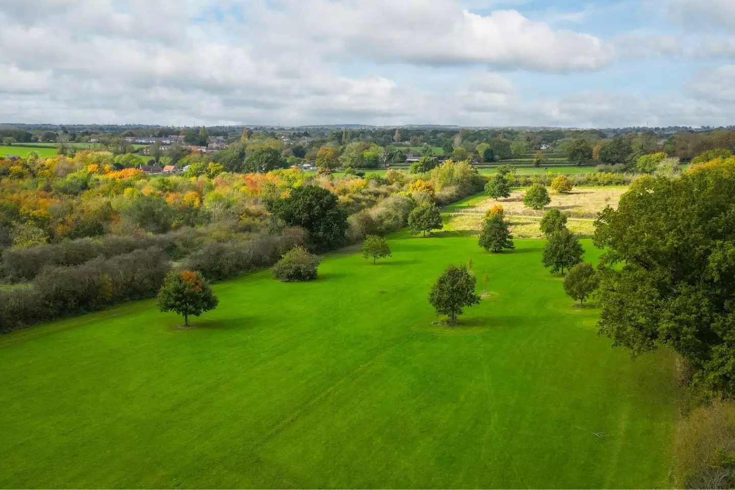 Yew Tree Meadows