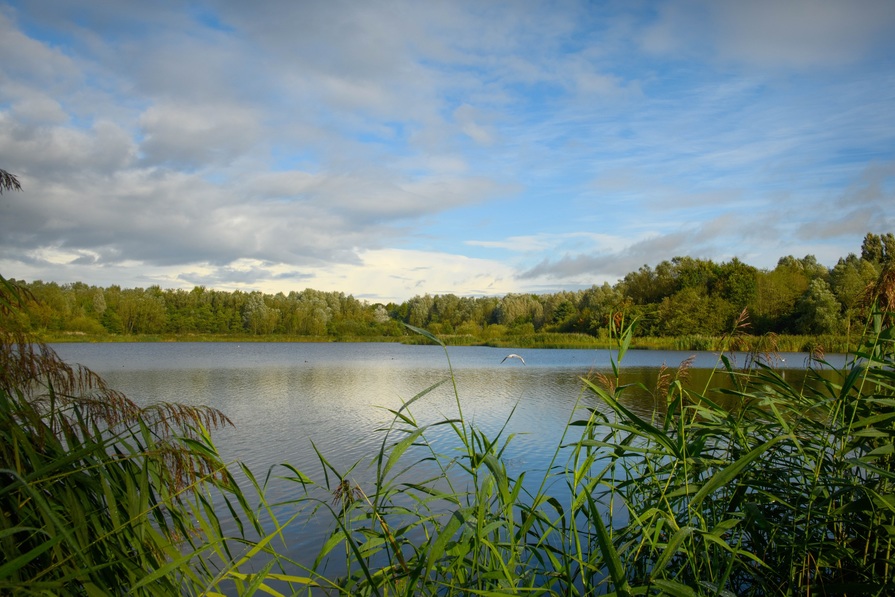 Amberswood Rise II