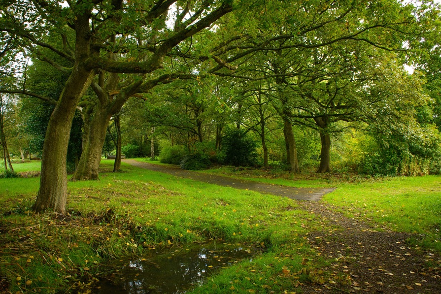 Amberswood Rise II