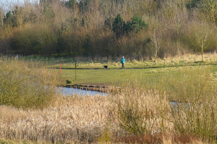 Church Fields