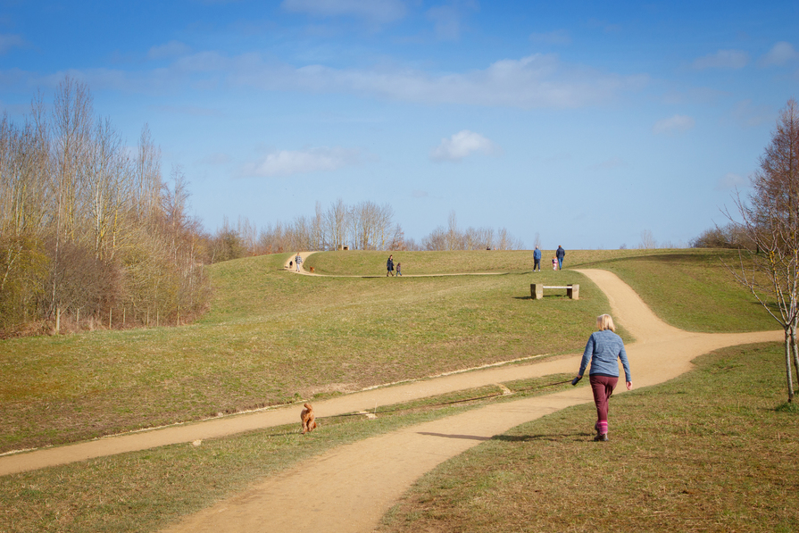 The Orchard At West Park