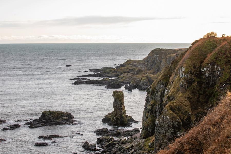 Whiteland Coast
