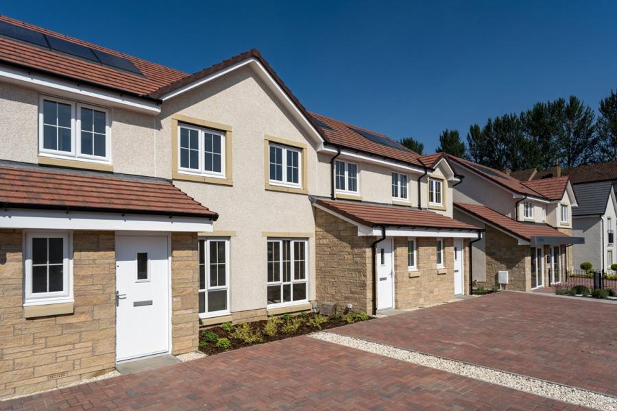 Storey Grove