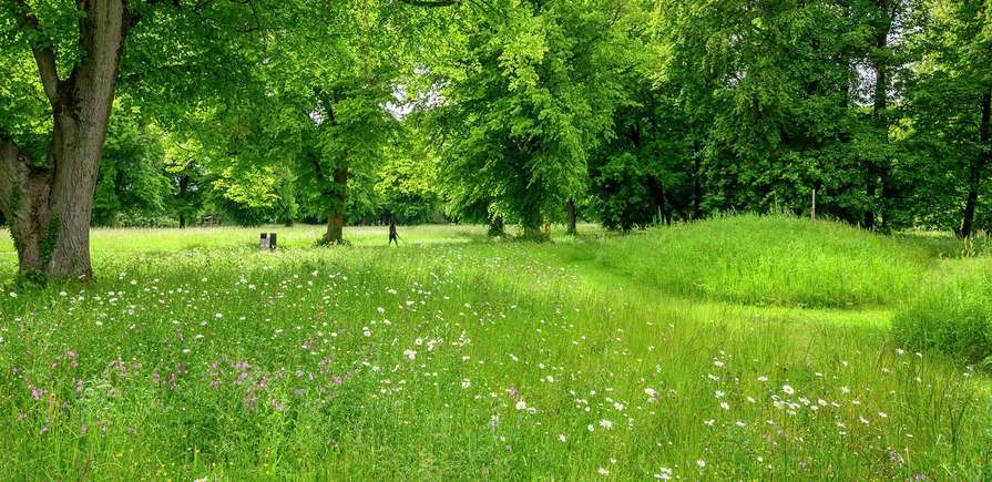 Abbey Barn Park