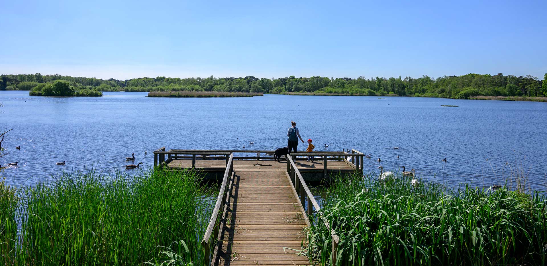 Pinewood Green