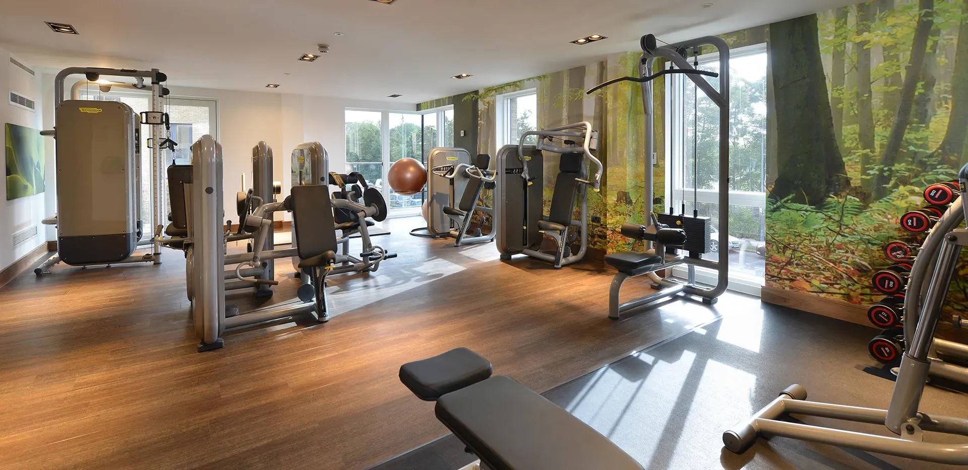 The Blackheath Collection Apartments