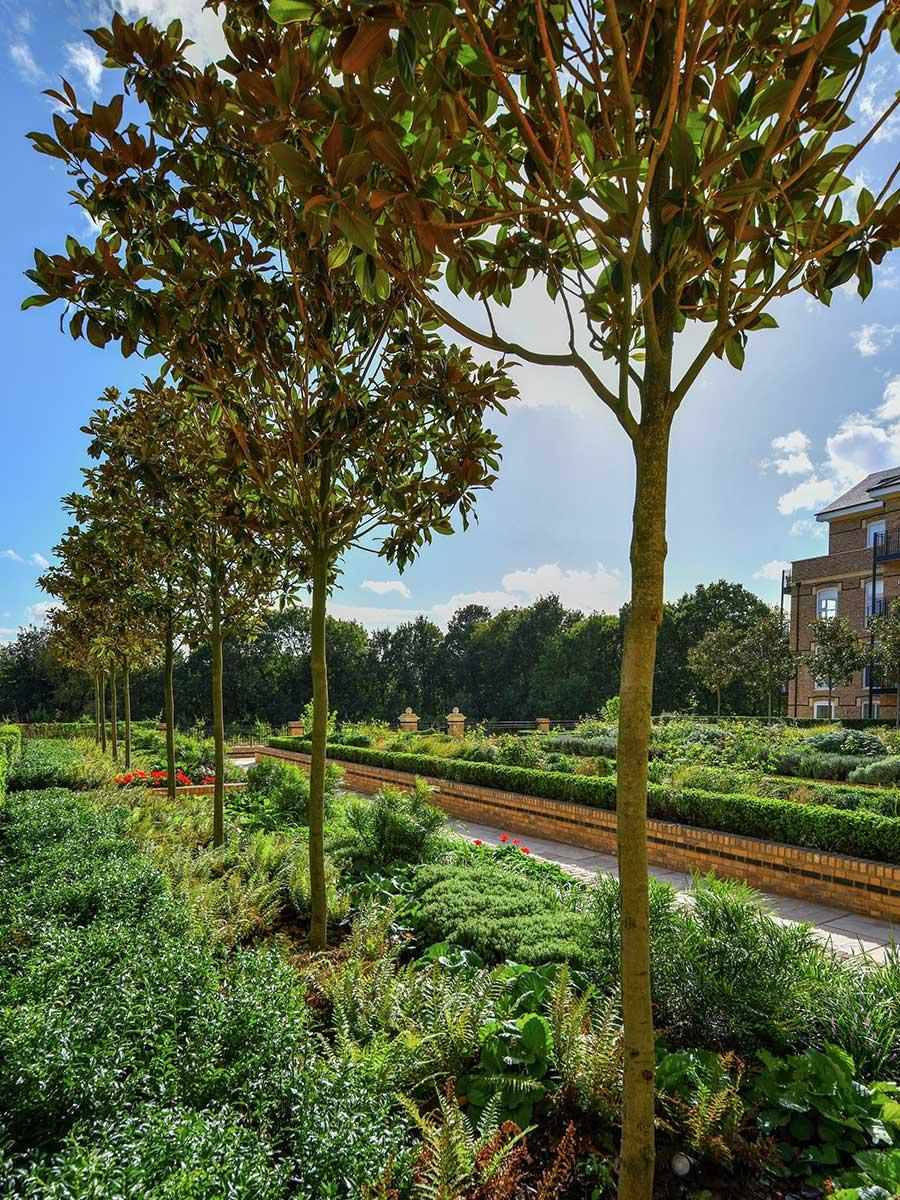 Wimbledon Hill Park