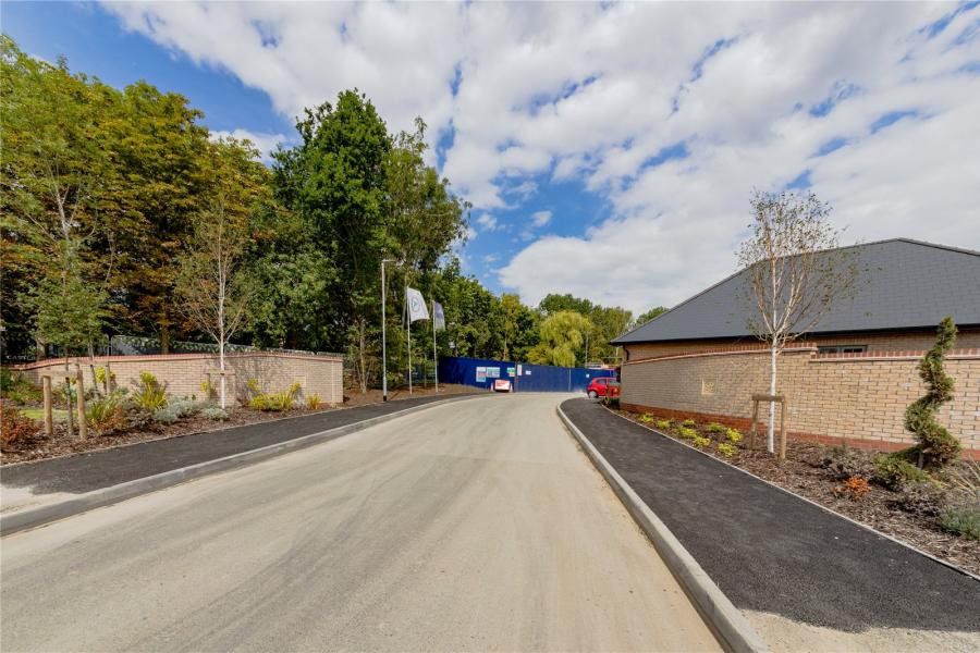 Orchard Drive