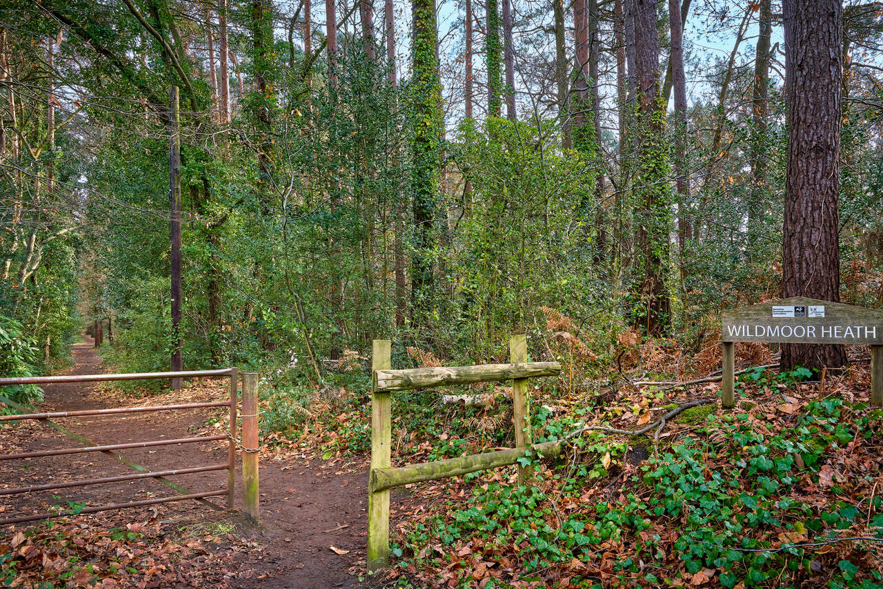Buckler's Park