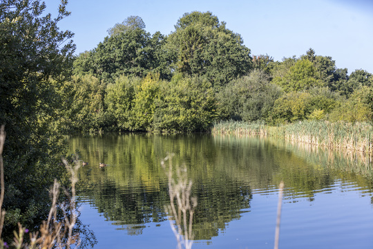Elsenham Brook