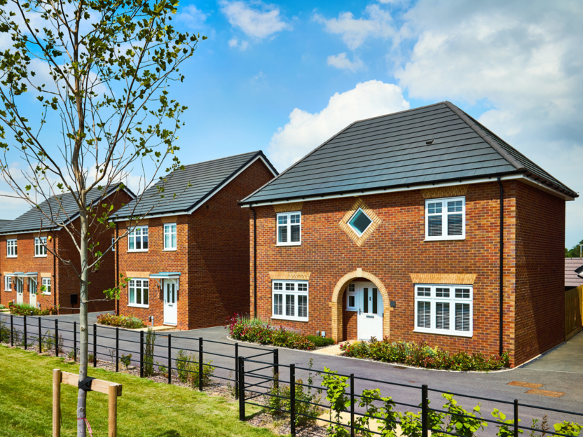 Partridge Walk - Image 1