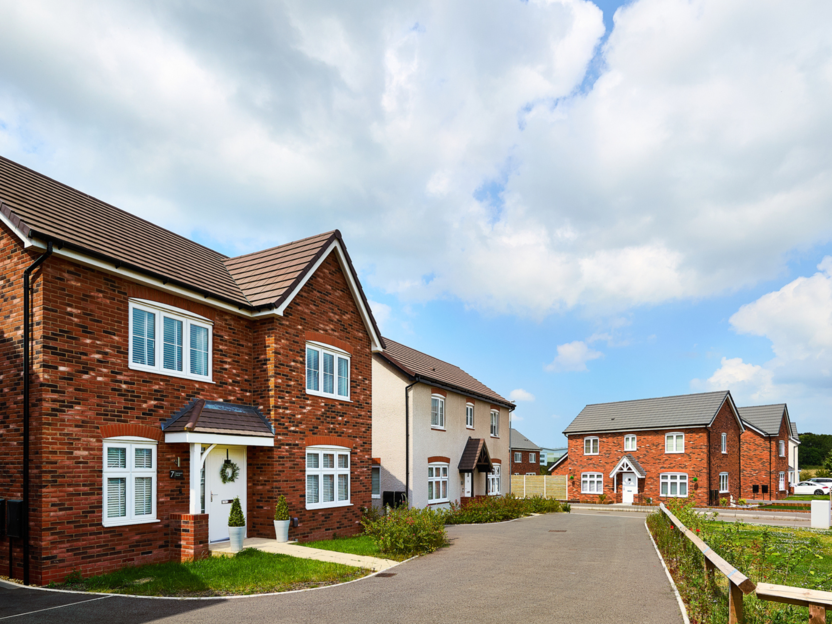 Partridge Walk - Image 3