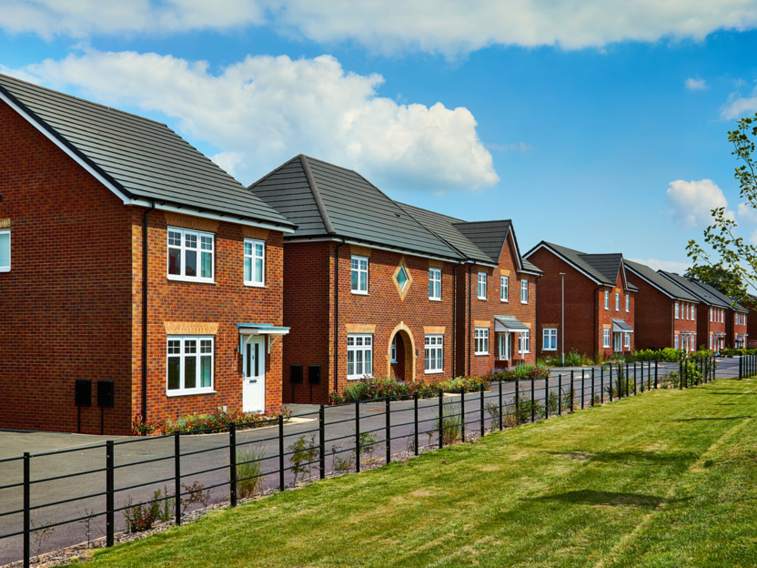 Partridge Walk