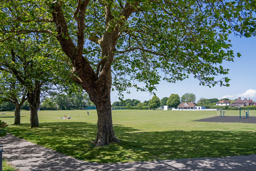 Summerhill Gardens