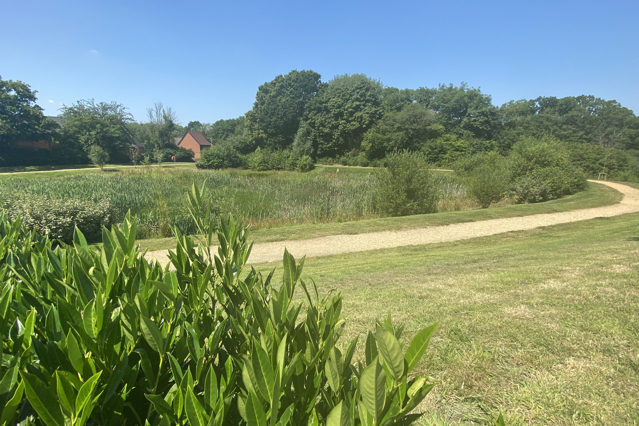 Whiteley Meadows