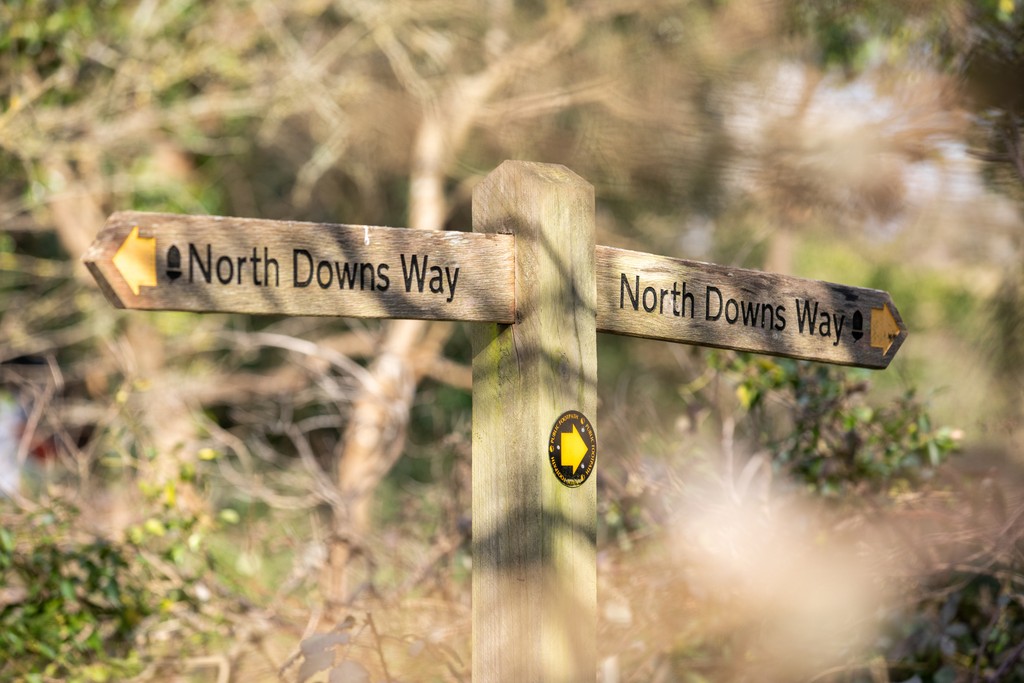 Birchwood, Farnham, Surrey