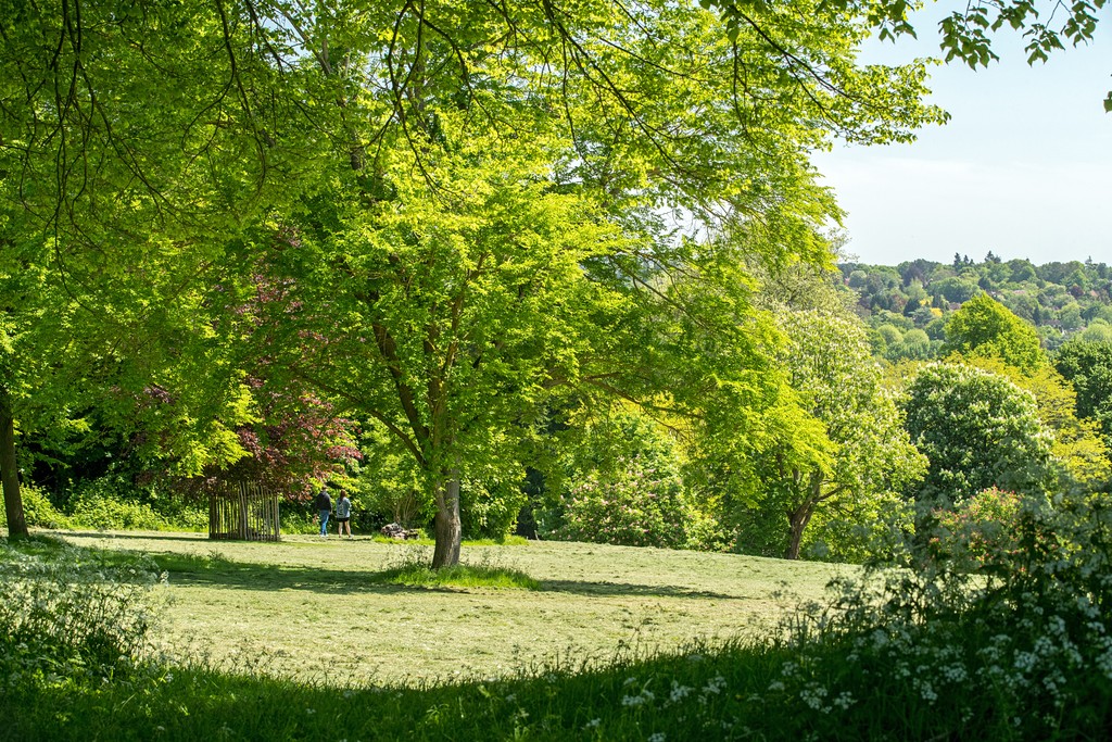 Birchwood, Farnham, Surrey