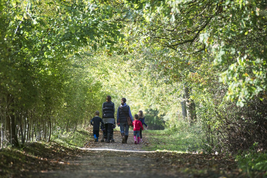 Ingatestone Grove, Ingatestone
