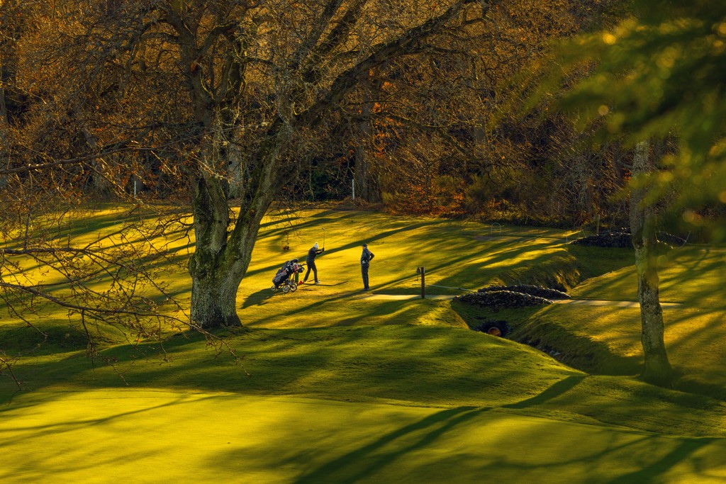 Raemoir Park, Banchory