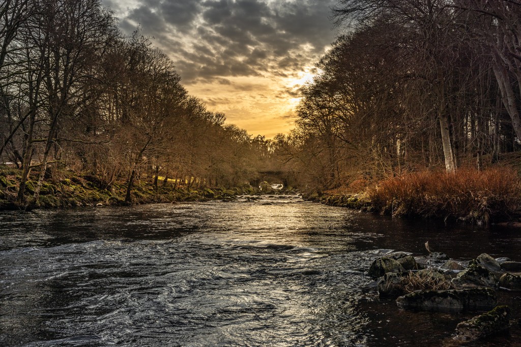 Raemoir Park, Banchory