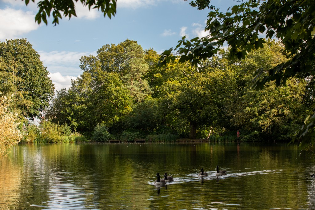 Sambrooke Park