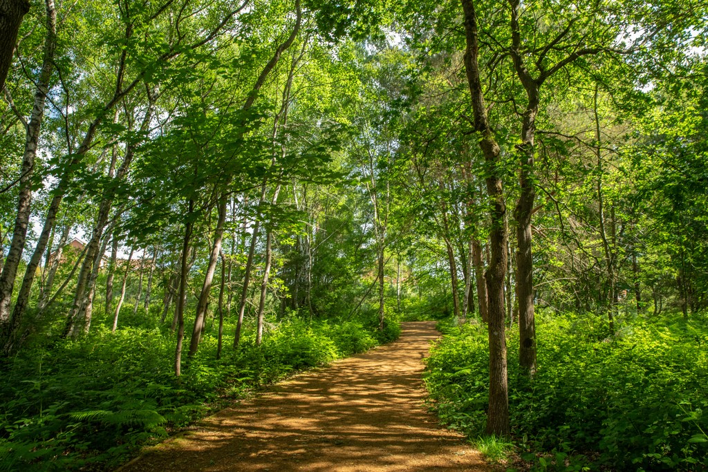 The Glades at Mindenhurst