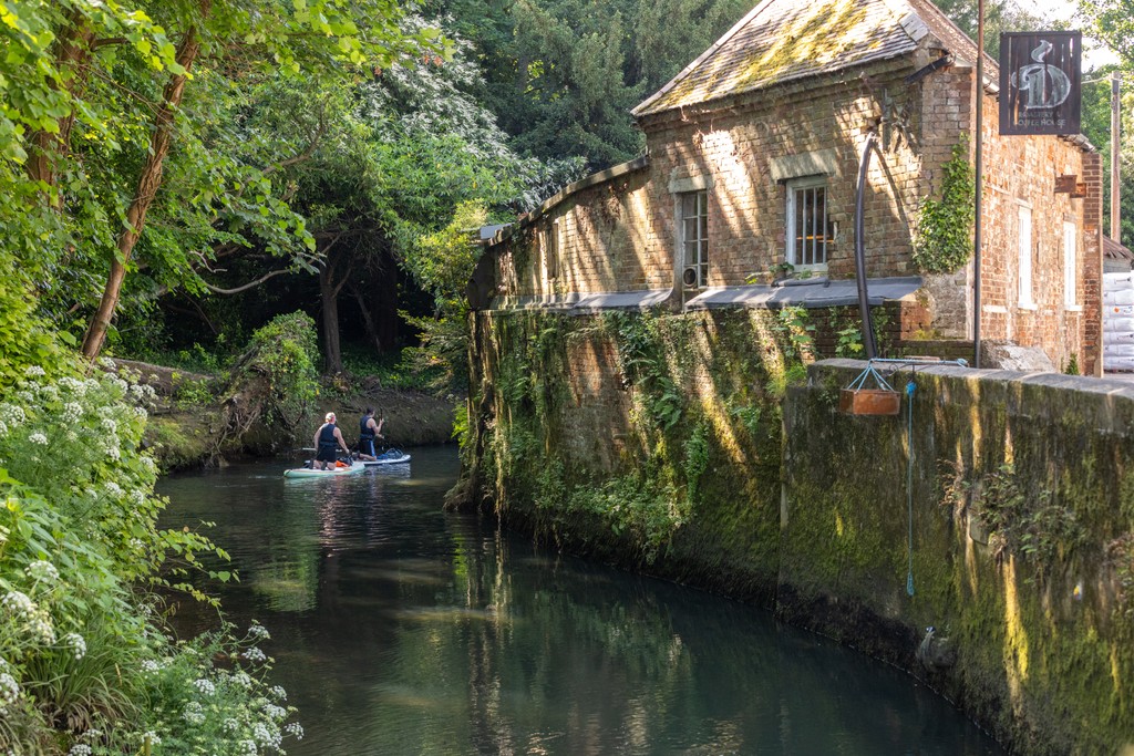 The Willows