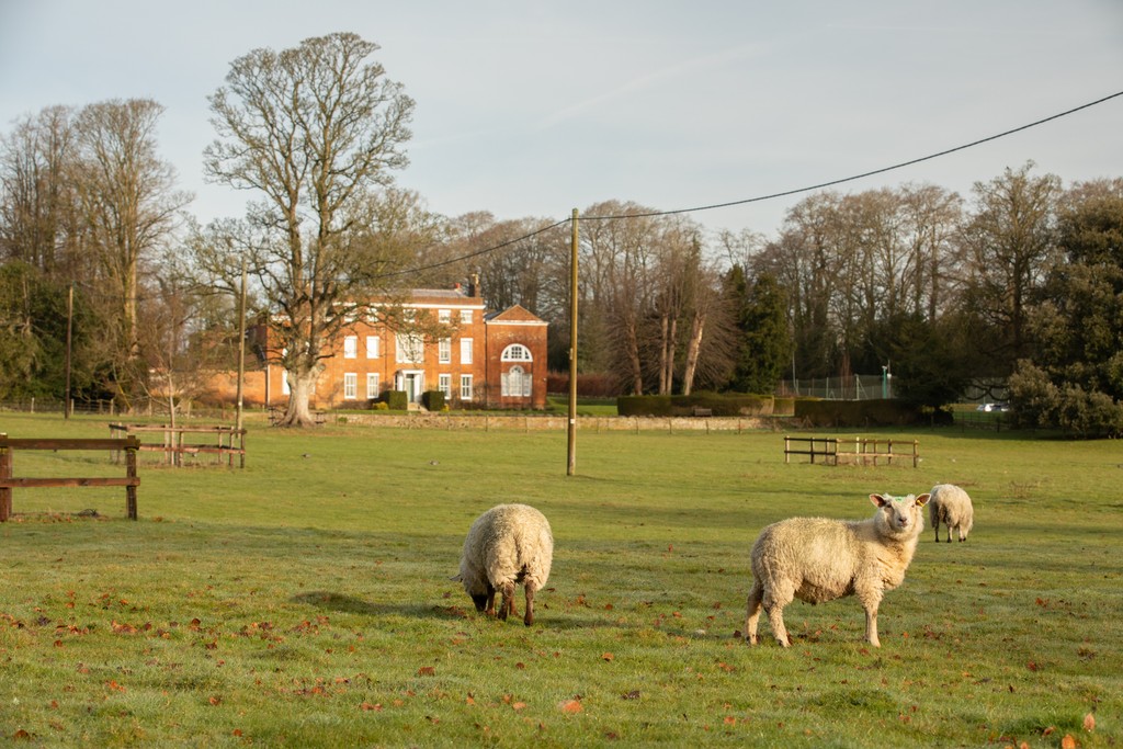 Worting Park
