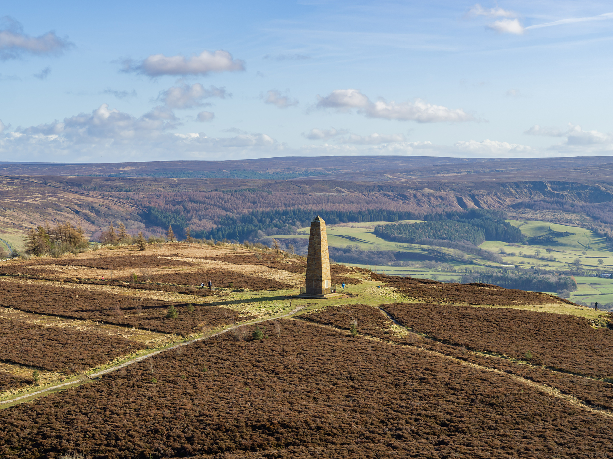 Roseberry View