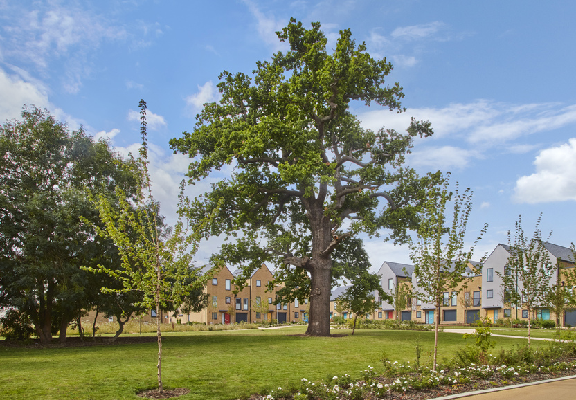 Base at Newhall