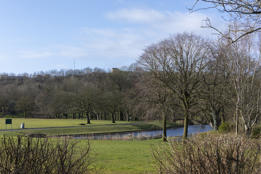 Brookfield Vale