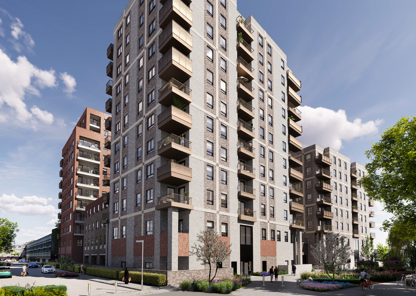 Kingston Grove