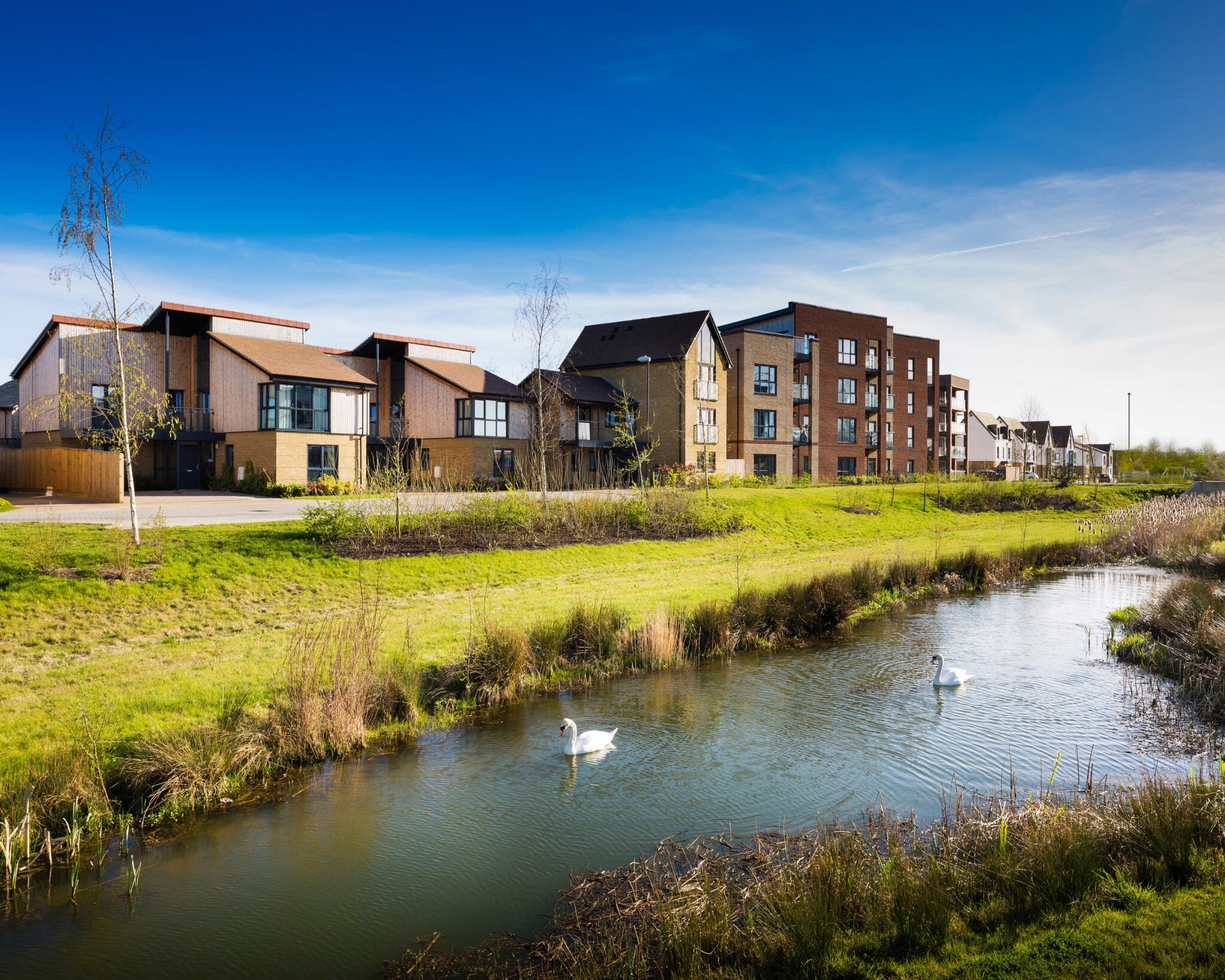 Oakgrove Village - Image 1