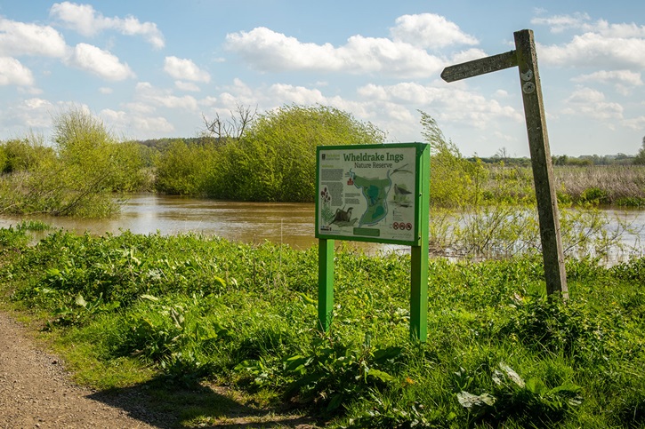 Bramble Wood - Thumbnail 2