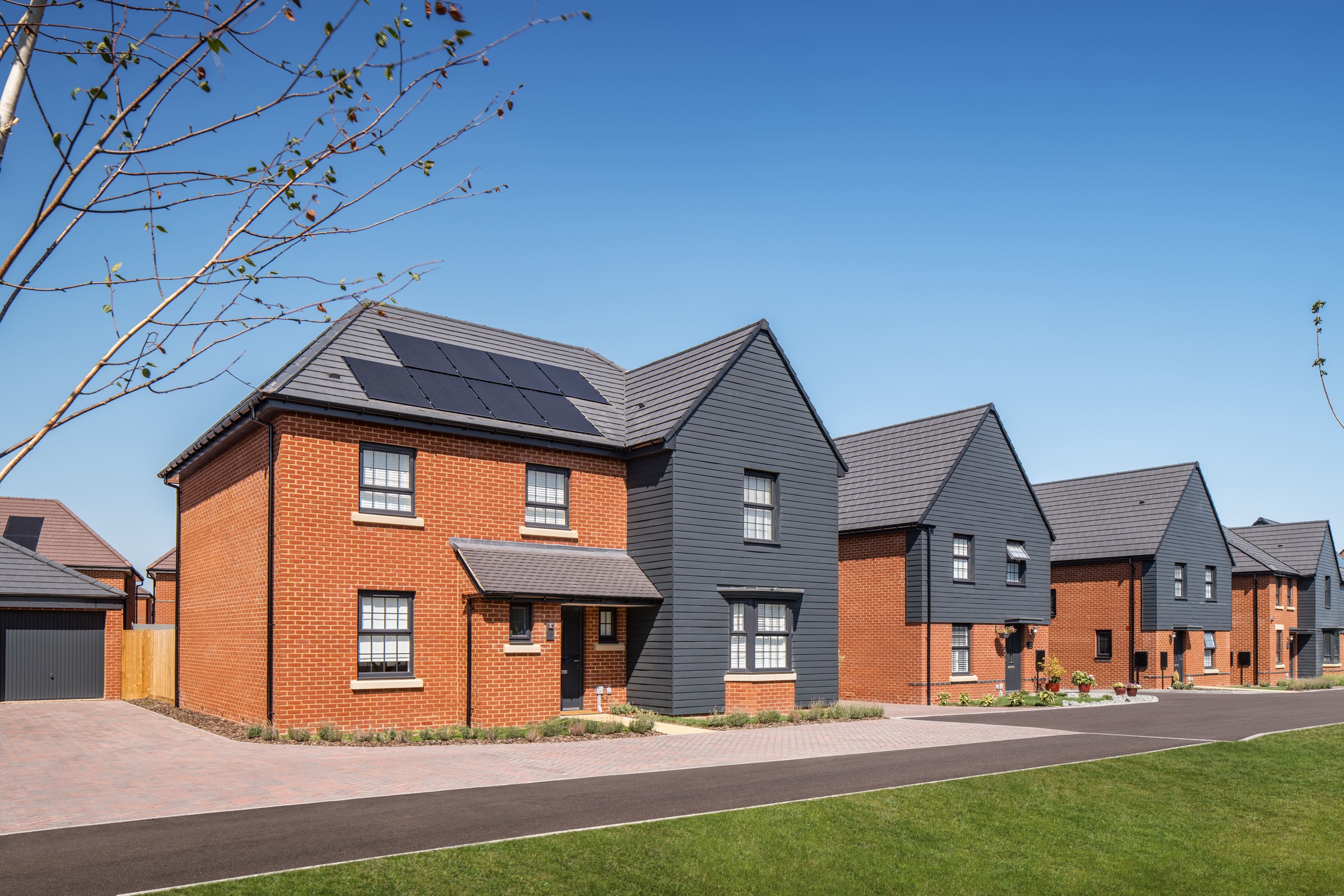 Brookside Meadows