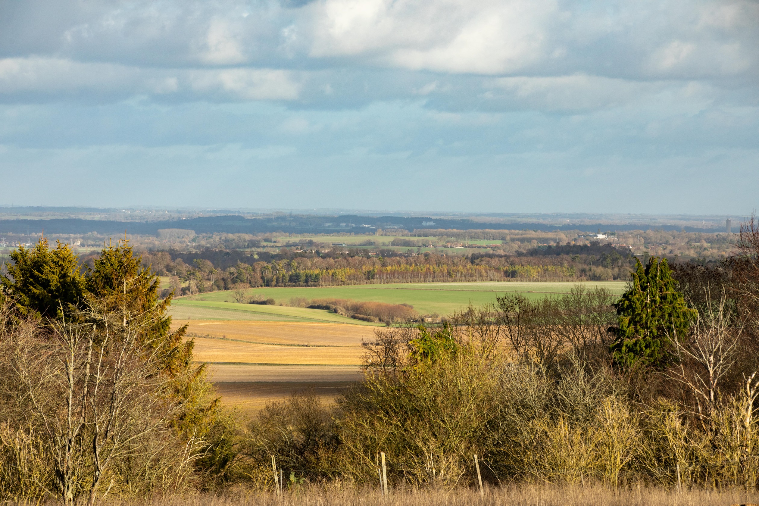 Brookside Meadows