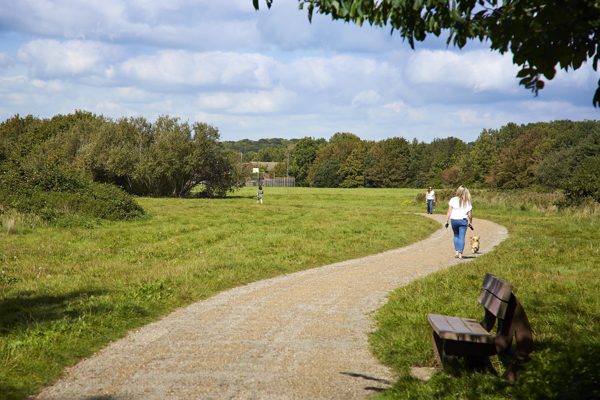 Brookwood Meadows