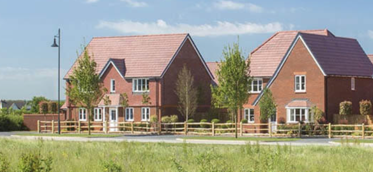 David Wilson at Tadpole Garden Village