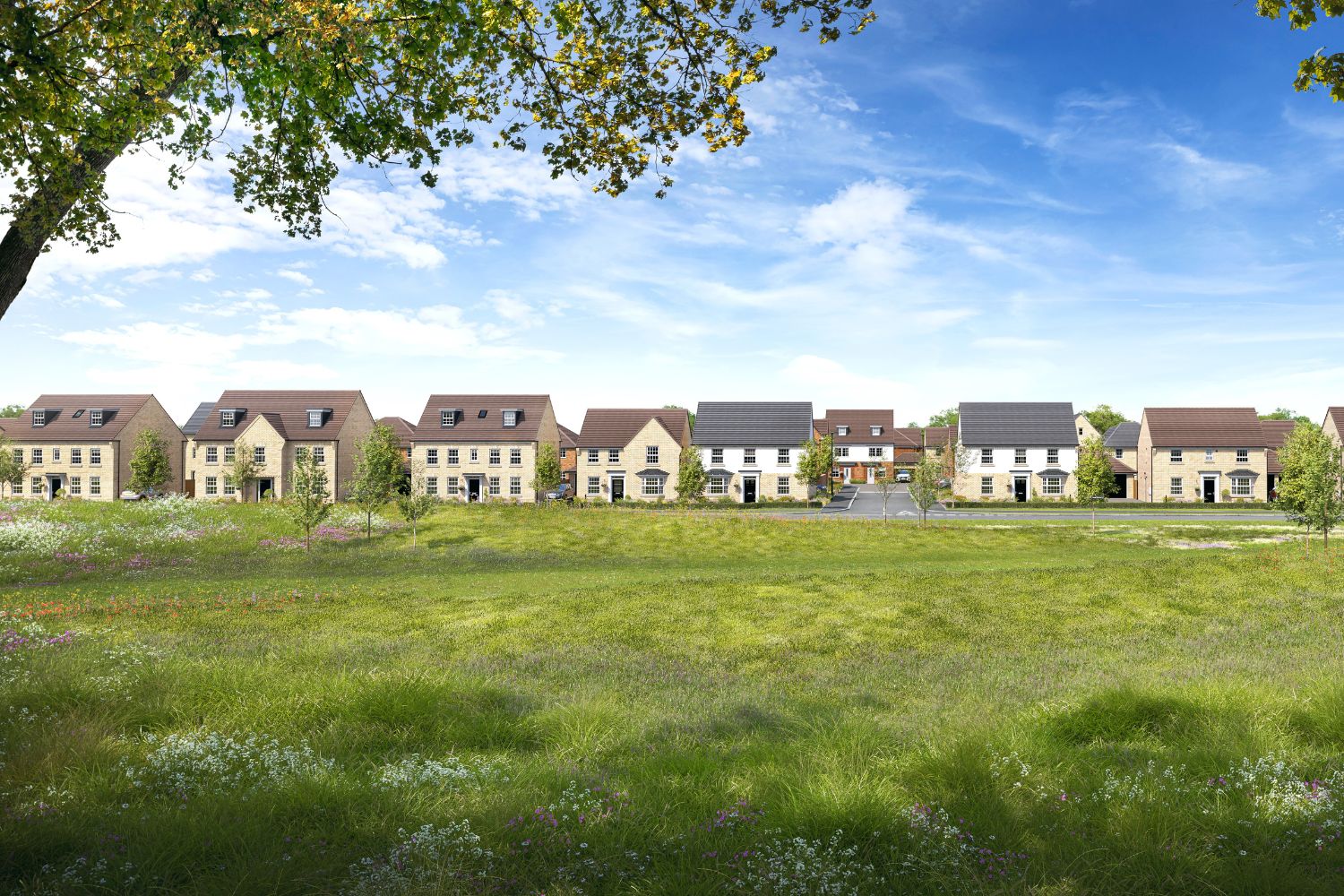 David Wilson Homes at Chatteris