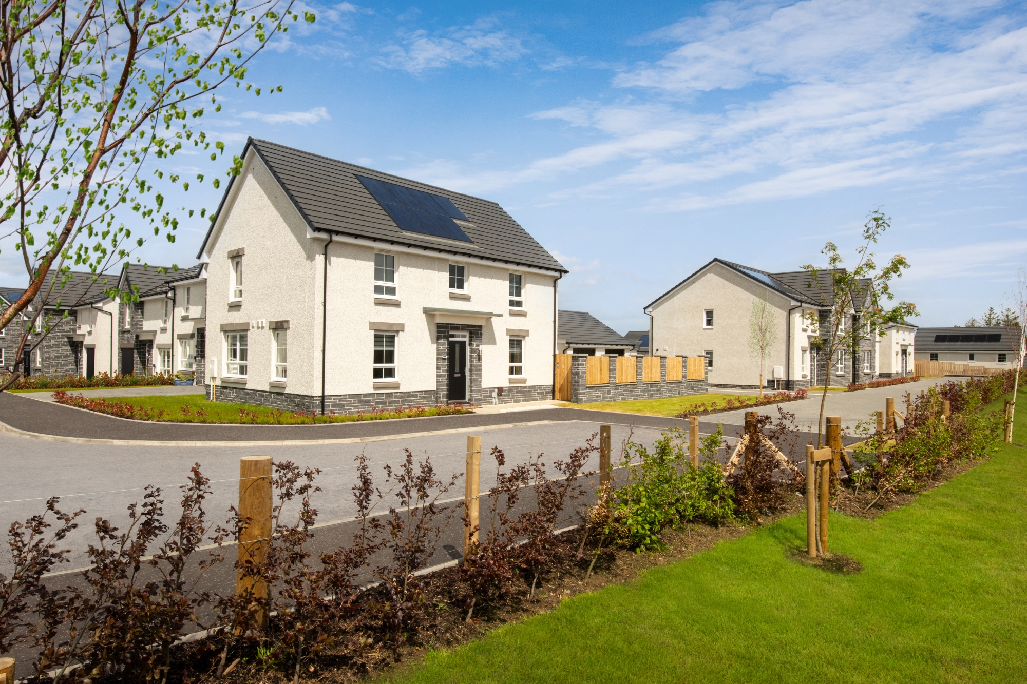 DWH @ Eaglesham View