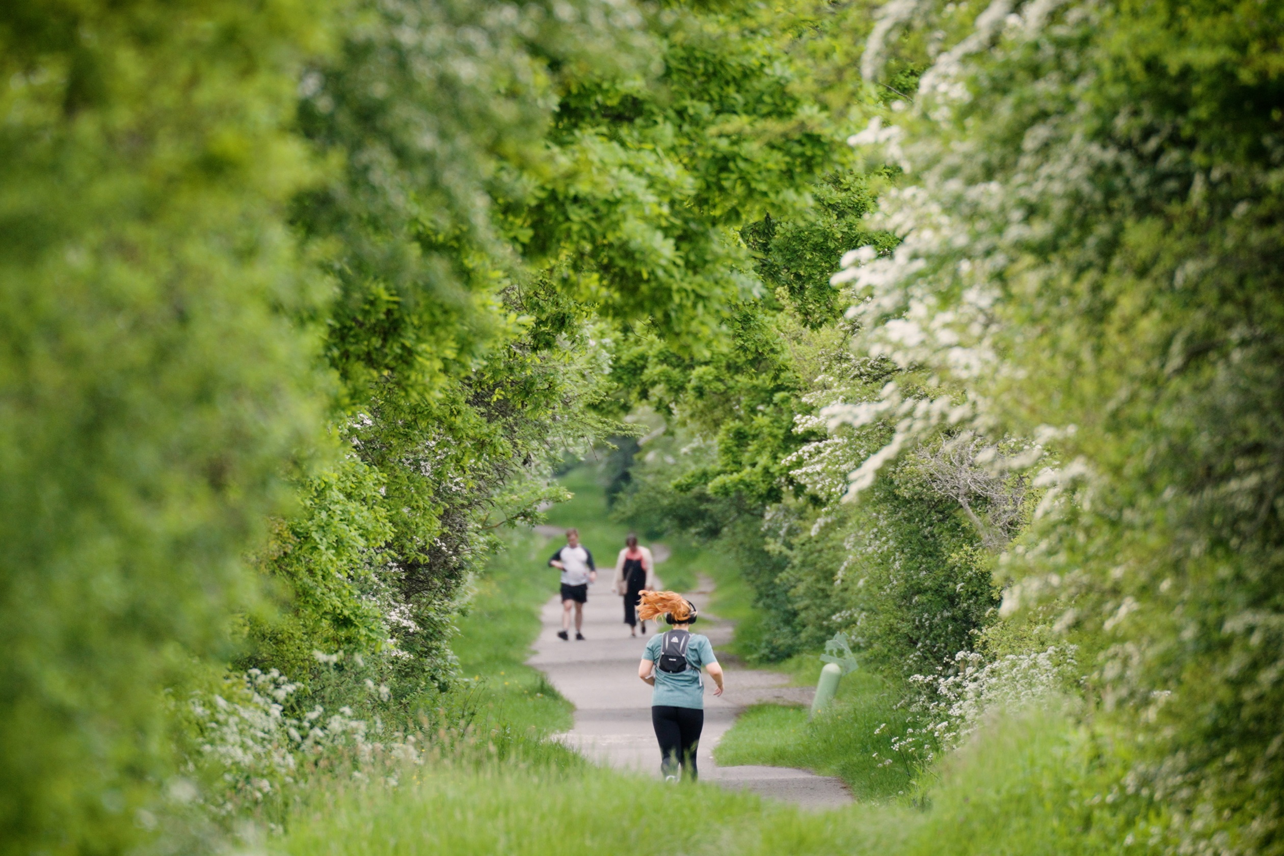 Ersham Park