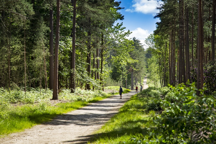 Finchwood Park