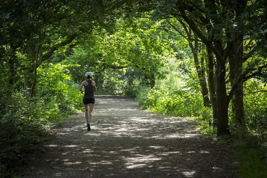 Finchwood Park