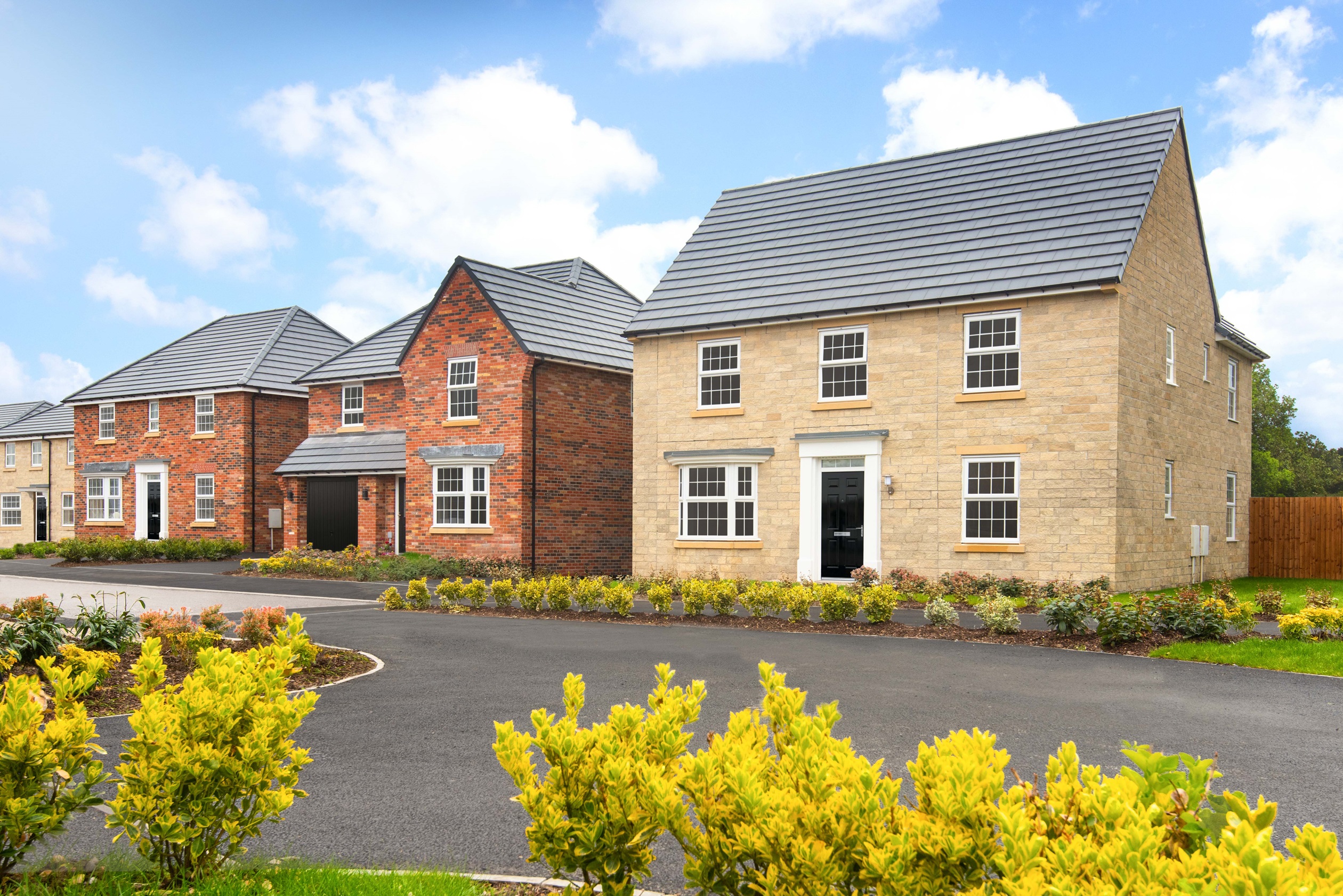 Inglewhite Meadow, Longridge