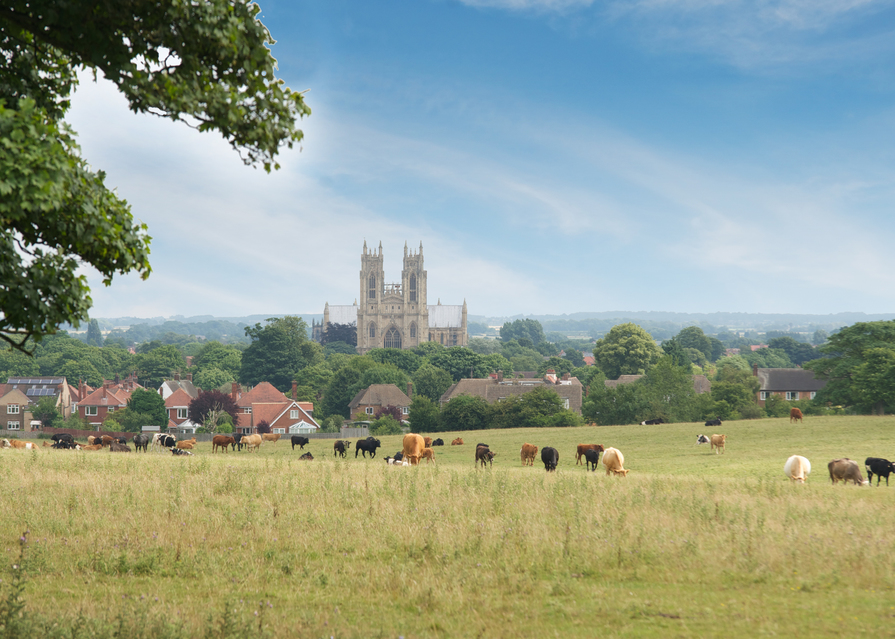 Minster View