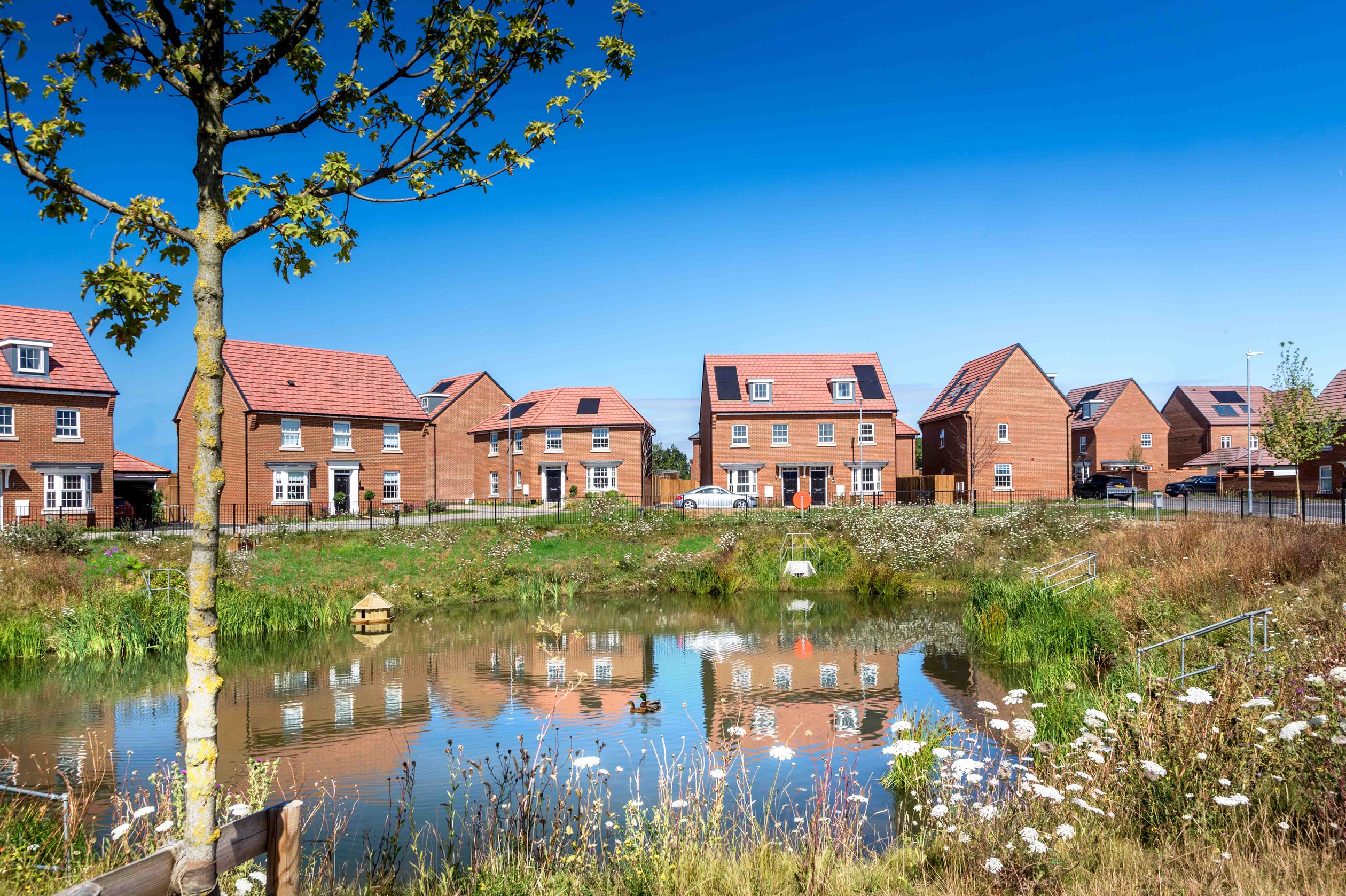 Mulberry Rise at Applegate Park