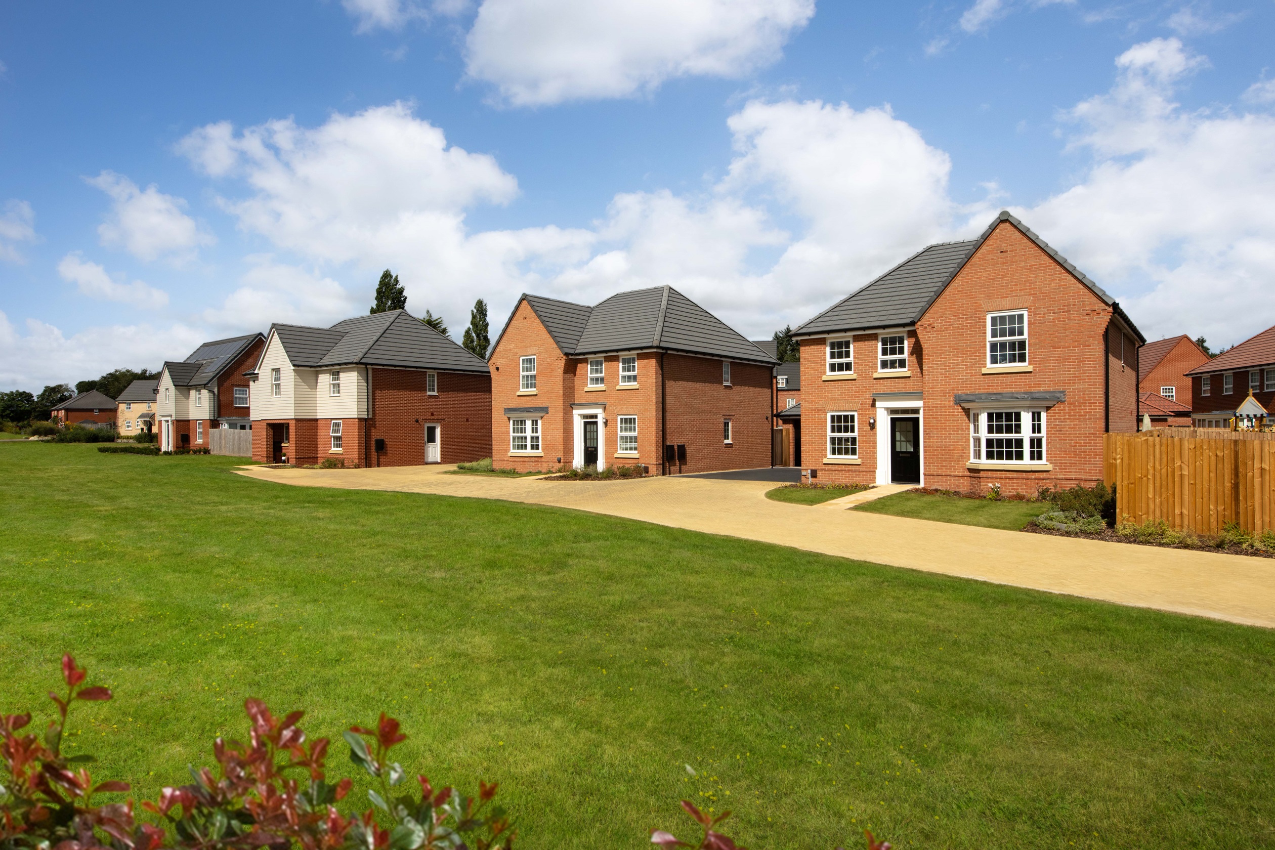 Woodland Heath