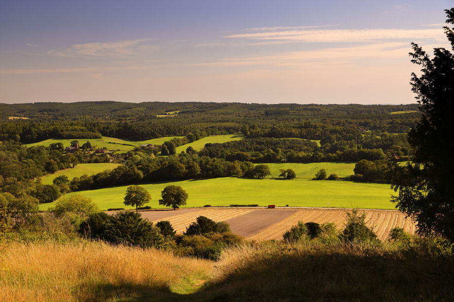 Willowbank Place - Image 1